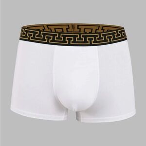 SHEIN White Boxer Briefs NWT XL